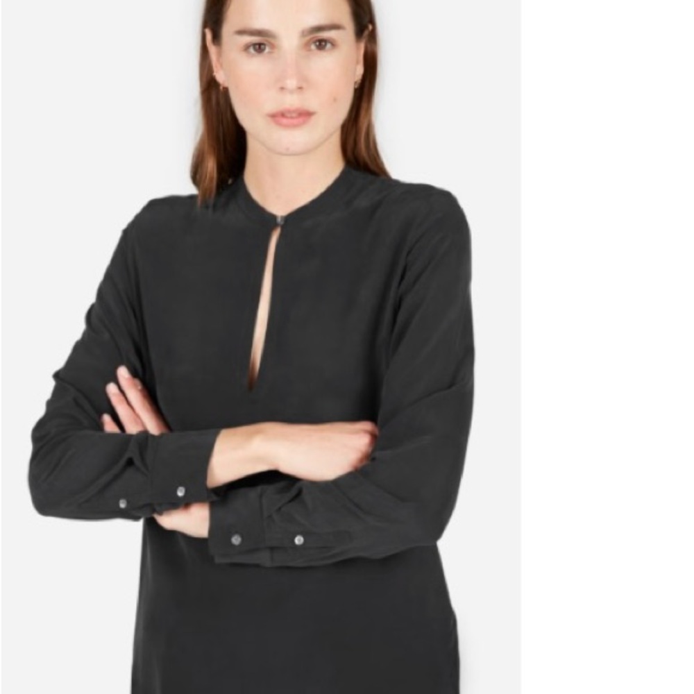 Everlane Black Silk Blouse with Cuffed Sleeves and Mandarin Collar